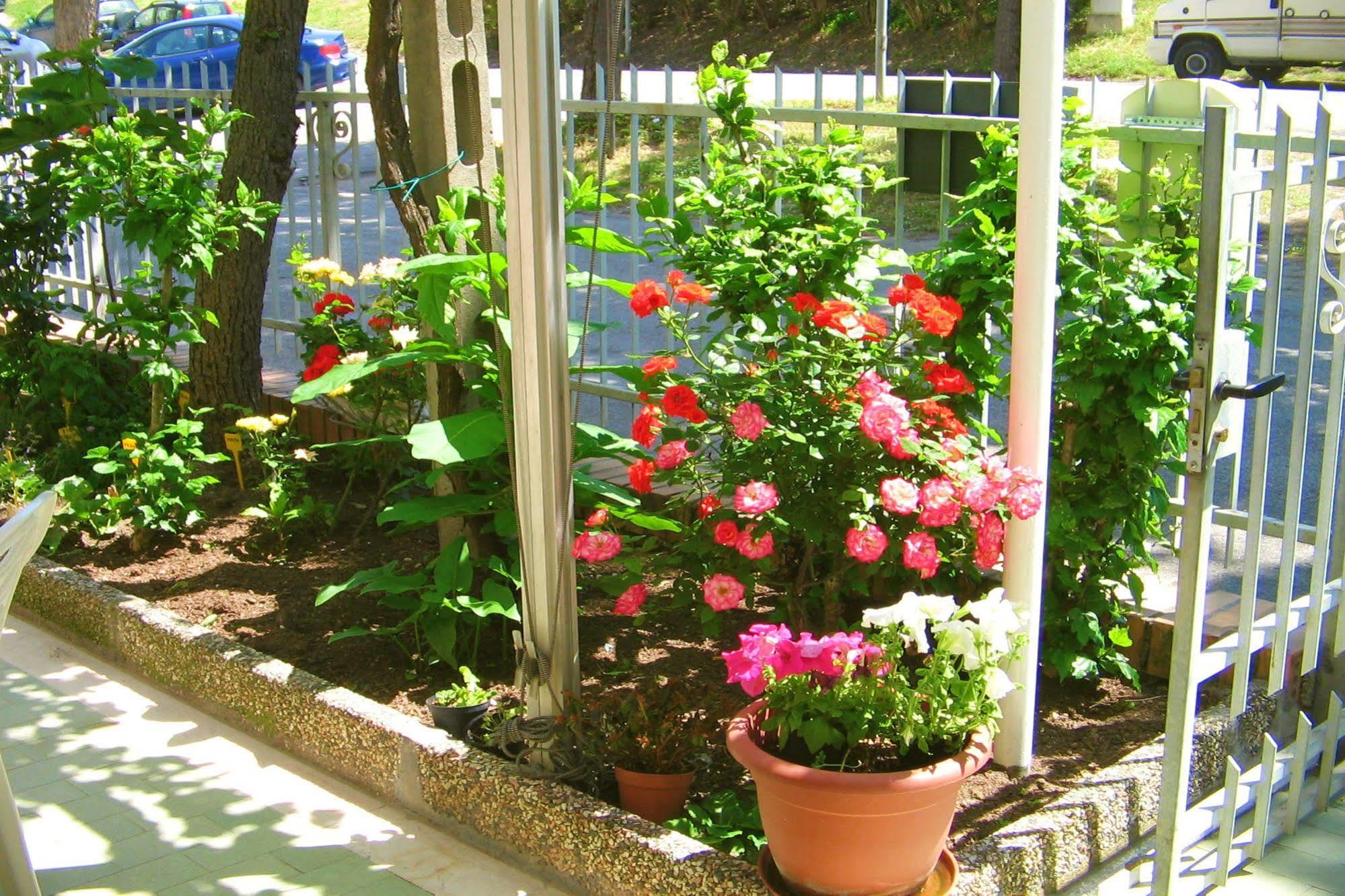 Villa Lauda B&B Rimini Exteriér fotografie